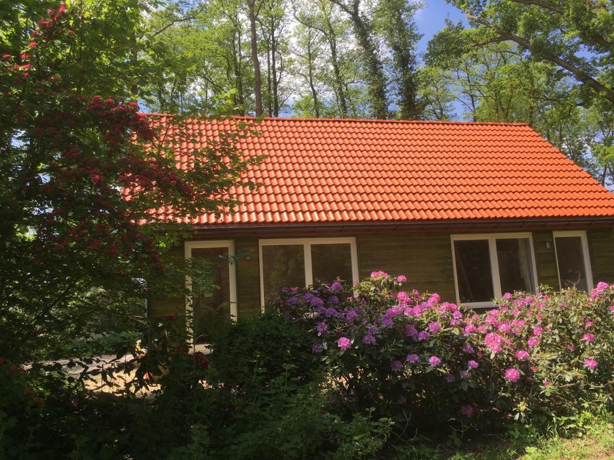 Ferienhof Ohlenbusch فوربسفيديه المظهر الخارجي الصورة